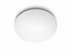 Nástěnné a stropní svítidlo (318023116) LED Suede