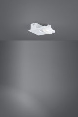 Bodové stropní svítidlo (39133) LED  BREA 1xLED, 5 W, 230 V, 12 V